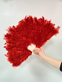 Çok Tüylü Gelin Yelpazesi, Kırmızı